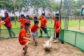 Các em nhỏ tham gia hoạt động trải nghiệm tại Phù Đổng Green Park (huyện Gia Lâm).