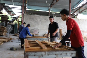 Anh Phùng Bình Minh (người đứng giữa) hướng dẫn công nhân sản xuất gỗ ván thanh xuất khẩu.