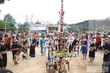 [Ảnh] Buôn làng rộn ràng trong ngày Lễ hội mừng lúa mới