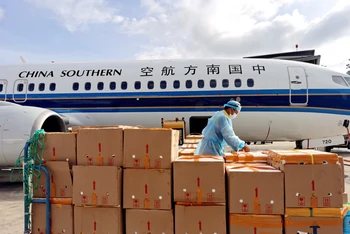 Hãng hàng không Phương Nam Trung Quốc vận chuyển hàng hóa. (Ảnh: people.com.cn) 