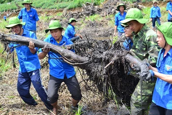 Đoàn viên thanh niên tình nguyện tỉnh Bình Định hỗ trợ người dân san lấp mặt bằng, mở rộng canh tác.
