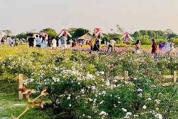 Khách du lịch tham quan vườn hoa trong một dịp Tết tại Hà Nội.