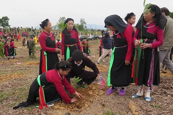 Nhân dân các dân tộc tỉnh Tuyên Quang tích cực tham gia phong trào trồng cây, gây rừng.