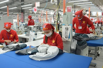Công nhân sản xuất áo veston xuất khẩu tại Xí nghiệp May Hưng Hà (Tổng công ty May 10). (Ảnh ĐĂNG ANH)