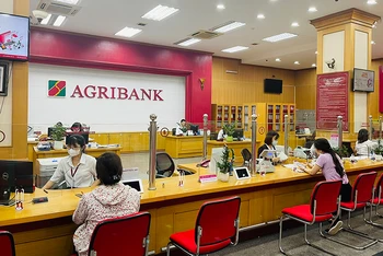 Khách hàng giao dịch tại chi nhánh Agribank.