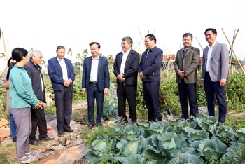 Cán bộ, đảng viên xã Thượng Kiệm, huyện Kim Sơn trao đổi kỹ thuật sản xuất rau an toàn theo hướng hữu cơ.