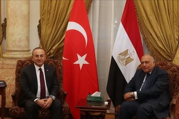 Hai Bộ trưởng Ngoại giao Ai Cập và Thổ Nhĩ Kỳ.