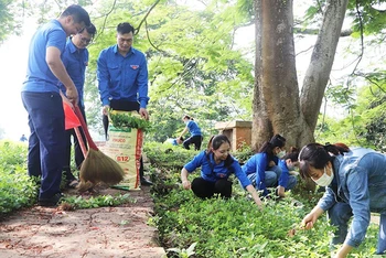 Đoàn viên thanh niên tỉnh Điện Biên dọn dẹp khuôn viên Di tích lịch sử Đồi A1, tích cực tham gia bảo vệ môi trường.