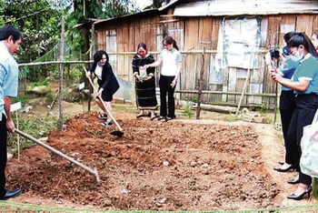 Hội viên phụ nữ huyện Đắk Hà đẩy mạnh cải tạo vườn tạp gắn với xây dựng làng dân tộc thiểu số nông thôn mới.