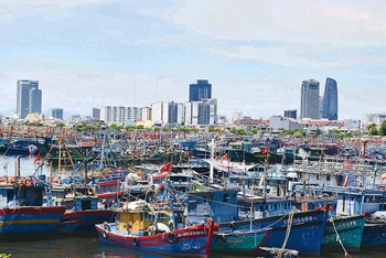 Tàu cá của ngư dân miền trung neo đậu tại Âu thuyền cảng cá Thọ Quang (TP Đà Nẵng).