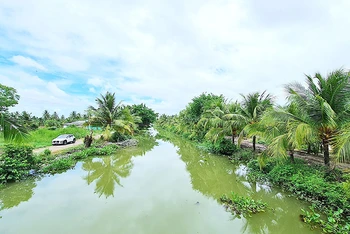 Tuyến bờ bắc kênh Lung Tràm (nền đất đen) được chấp thuận chủ trương đầu tư của tỉnh Cà Mau nhưng chưa được cứng hóa mặt đường.