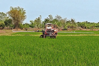 Người dân xã An Ninh (huyện Quỳnh Phụ, tỉnh Thái Bình) bón phân bằng máy tại cánh đồng sản xuất theo quy mô lớn.