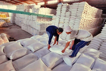 Giá gạo trong nước và xuất khẩu đang tăng mạnh.