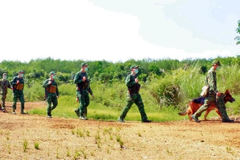 Cán bộ, chiến sĩ Đồn Biên phòng Cửa khẩu Hoàng Diệu (huyện Bù Đốp) phối hợp với Đoàn Thanh niên tuần tra bảo vệ biên giới.