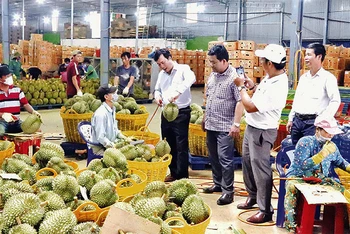 Lãnh đạo huyện Krông Pắc, tỉnh Đắk Lắk thăm và kiểm tra một doanh nghiệp thu mua sầu riêng xuất khẩu trên địa bàn.
