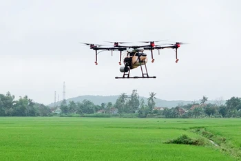 Ứng dụng thiết bị bay không người lái chăm sóc lúa trên cánh đồng của Hợp tác xã dịch vụ nông nghiệp Hòa Quang Bắc, huyện Phú Hòa.