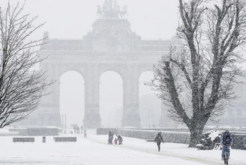 Hoạt động giao thông ở Brussels gặp khó khăn do tuyết rơi dày.