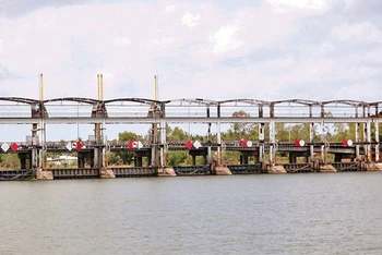 Cống thủy lợi Láng Thé phía sông Cổ Chiên, ngăn mặn, trữ ngọt phục vụ sản xuất trong mùa khô 2023-2024 tại Trà Vinh.