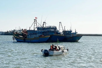 Khu neo đậu tránh, trú bão cấp vùng - cảng cá Phú Hải đưa vào hoạt động giúp tàu, thuyền an toàn mỗi khi có bão.