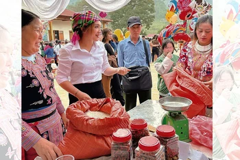 Các sản phẩm vùng cao Sơn La đã có mặt tại các hội chợ, gian hàng.