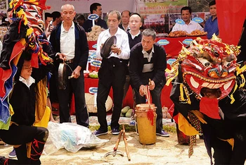 Múa sư tử Mèo được các nghệ nhân tham gia trình diễn tại lễ hội Háng Pò, Bình Gia (Lạng Sơn).