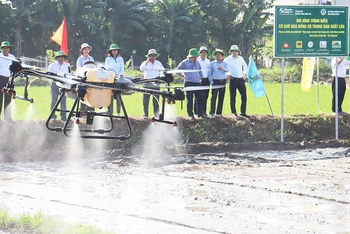 Đưa thiết bị bay không người lái vào phun thuốc diệt cỏ, sâu bệnh trên cây lúa tại huyện Mộ Đức (tỉnh Quảng Ngãi).