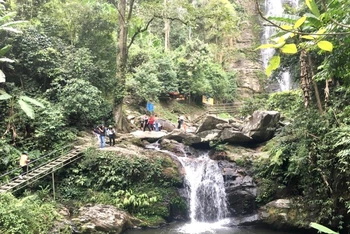 Du lịch sinh thái tại rừng quốc gia Pù Mát (Nghệ An).