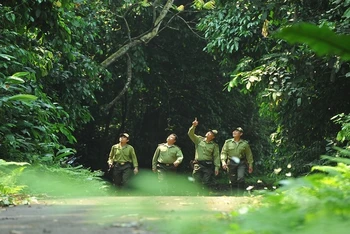 Kiểm lâm Vườn quốc gia Cúc Phương tuần tra bảo vệ rừng.