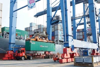 Bốc xếp hàng hóa xuất, nhập khẩu tại Cảng Cát Lái, thành phố Thủ Đức, Thành phố Hồ Chí Minh.
