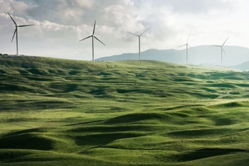 Các dự án năng lượng tái tạo như điện gió được ACB ưu tiên tài trợ tín dụng.
