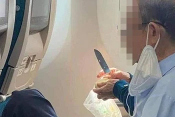 Hình ảnh hành khách gọt hoa quả trên máy bay.