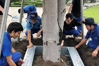 Thử nghiệm hệ thống trữ nước tưới ngầm cho cây xanh tại thị xã Phú Mỹ.