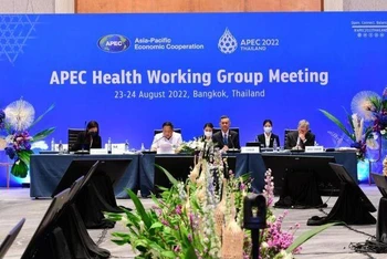 Hội nghị Các quan chức cấp cao APEC về nhóm làm việc y tế. (Ảnh: Bộ Y tế Thái Lan)