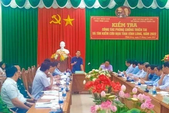 Thứ trưởng Kế hoạch và Đầu tư Võ Thành Thống phát biểu tại buổi làm việc với tỉnh Vĩnh Long. (Ảnh: BÁ DŨNG)
