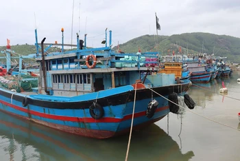 Hàng trăm tàu cá neo đậu tránh trú bão số 4 tại cảng Mỹ Á, thị xã.