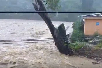 Mưa lớn, nước sông trên sông Leng (xã Trà Leng, huyện Nam Trà My) chảy xiết, đe dọa bờ kè phía sau Trường tiểu học Trà Leng.