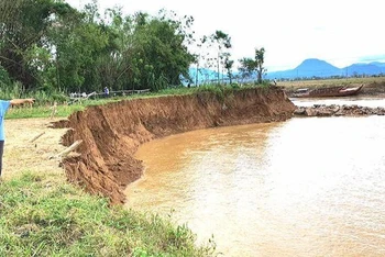 Bờ sông Quảng Huế sạt lở nghiêm trọng.
