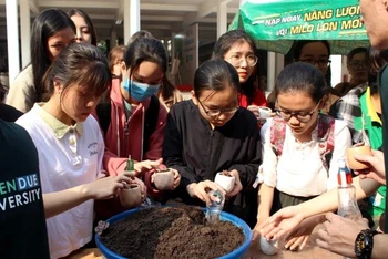 Sinh viên tham gia trồng cây mini.