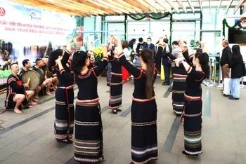Tại Lễ hội cà-phê Buôn Ma Thuột lần thứ 8 năm 2023 sẽ diễn ra nhiều hoạt động giao lưu văn hóa giữa các dân tộc thiểu số ở Đắk Lắk với du khách trong và ngoài nước.