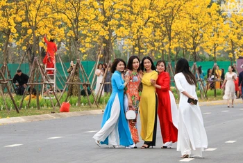 Một cung đường trong khu đô thị Park City (Hà Đông, Hà Nội) sở hữu rất nhiều cây hoa phong linh đang nở rộ, thu hút nhiều người dân tới chụp ảnh và vui chơi.