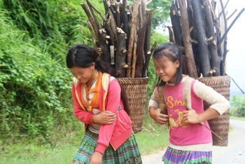 Nhiều học sinh người dân tộc thiểu số tại Đắk Nông phải bỏ lỡ việc học để phụ giúp gia đình những công việc không phù hợp với độ tuổi và sức lao động.
