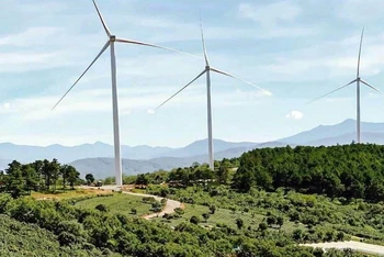 Các tua-bin gió tại dự án điện gió khu vực đồi chè Cầu Đất (TP Đà Lạt).