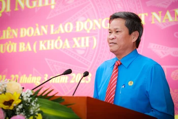 Đồng chí Huỳnh Thanh Xuân được bầu làm Phó Chủ tịch Tổng Liên đoàn Lao động Việt Nam khóa XII, nhiệm kỳ 2018-2023.