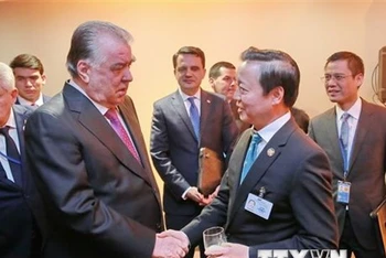 Phó Thủ tướng Trần Hồng Hà gặp Tổng thống Tajikistan Emomali Rahmon. (Ảnh: TTXVN)