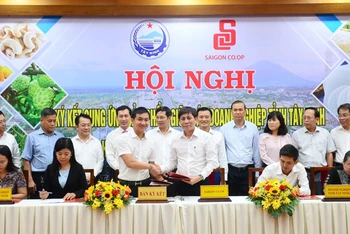 Đại diện Saigon Co.op ký kết hợp tác với các doanh nghiệp tỉnh Tây Ninh.