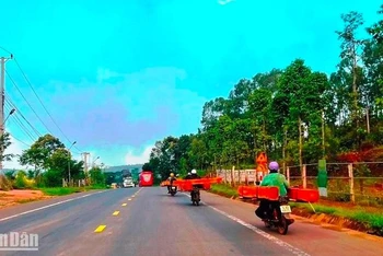 Xe máy nối đuôi nhau chở gỗ trái phép trên quốc lộ 14, đoạn qua thị trấn Đức An, huyện Đắk Song, tỉnh Đắk Nông.