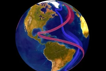 Hình ảnh minh họa hệ thống hải lưu AMOC. (Ảnh: NOAA)