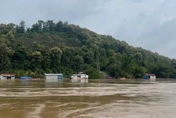 Mực nước sông Đồng Nai đang vượt mức báo động 3.