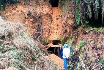 Cửa các đường hầm khai thác vàng trái phép.