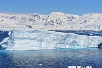 Băng trôi tại Vịnh Chiriguano ở Nam Cực. (Nguồn: AFP/TTXVN)